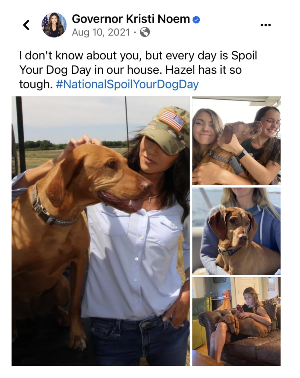 kristi noem dog meme - Governor Kristi Noem . I don't know about you, but every day is Spoil Your Dog Day in our house. Hazel has it so tough. YourDogDay